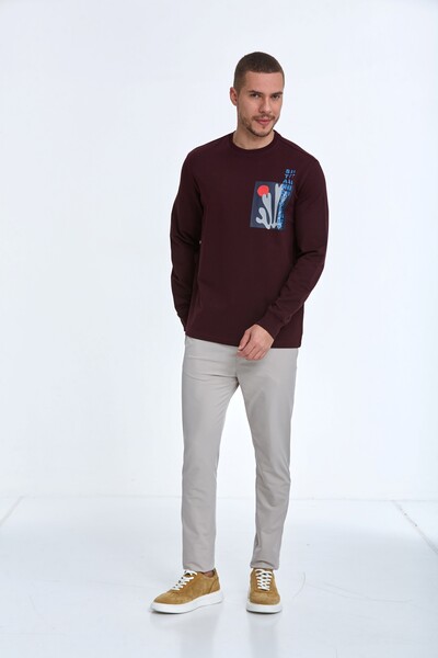 VOLTAJ - Pattern Bisiklet Yaka Erkek Sweatshirt Bordo (1)