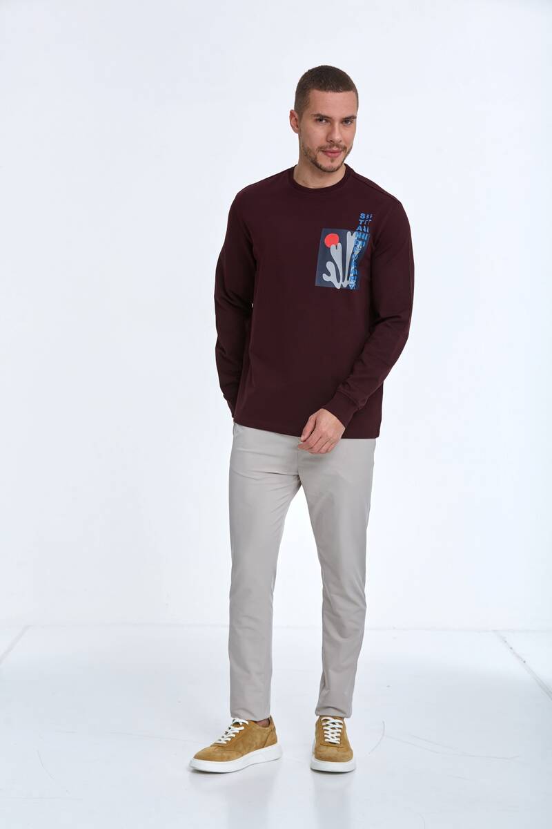 Pattern Bisiklet Yaka Erkek Sweatshirt Bordo