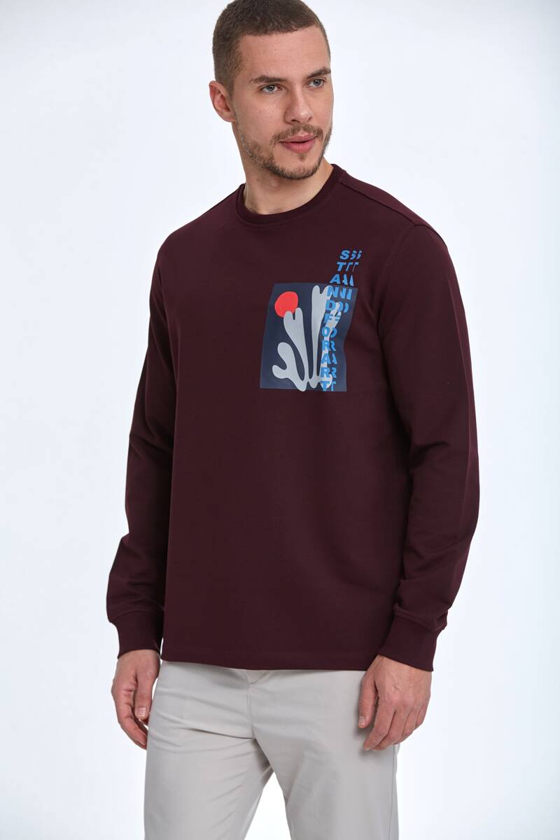 Pattern Bisiklet Yaka Erkek Sweatshirt Bordo